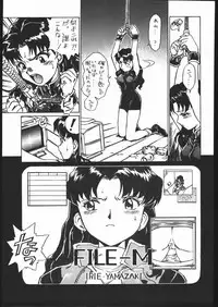 [Moriman Sho-Ten (Various)] KATZE 13 (Neon Genesis Evangelion)