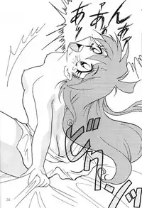 [Ginmomodou (Mita Satomi)] Slayers Adult 8 (Slayers)