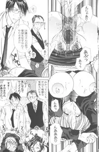 [Hashi Cube] Honey Angel Slave