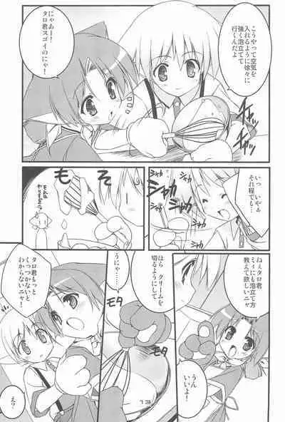 MIRACLE SWEET DREAM 2