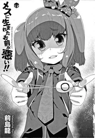 Mesu ni Umareta Omae ga Warui!!