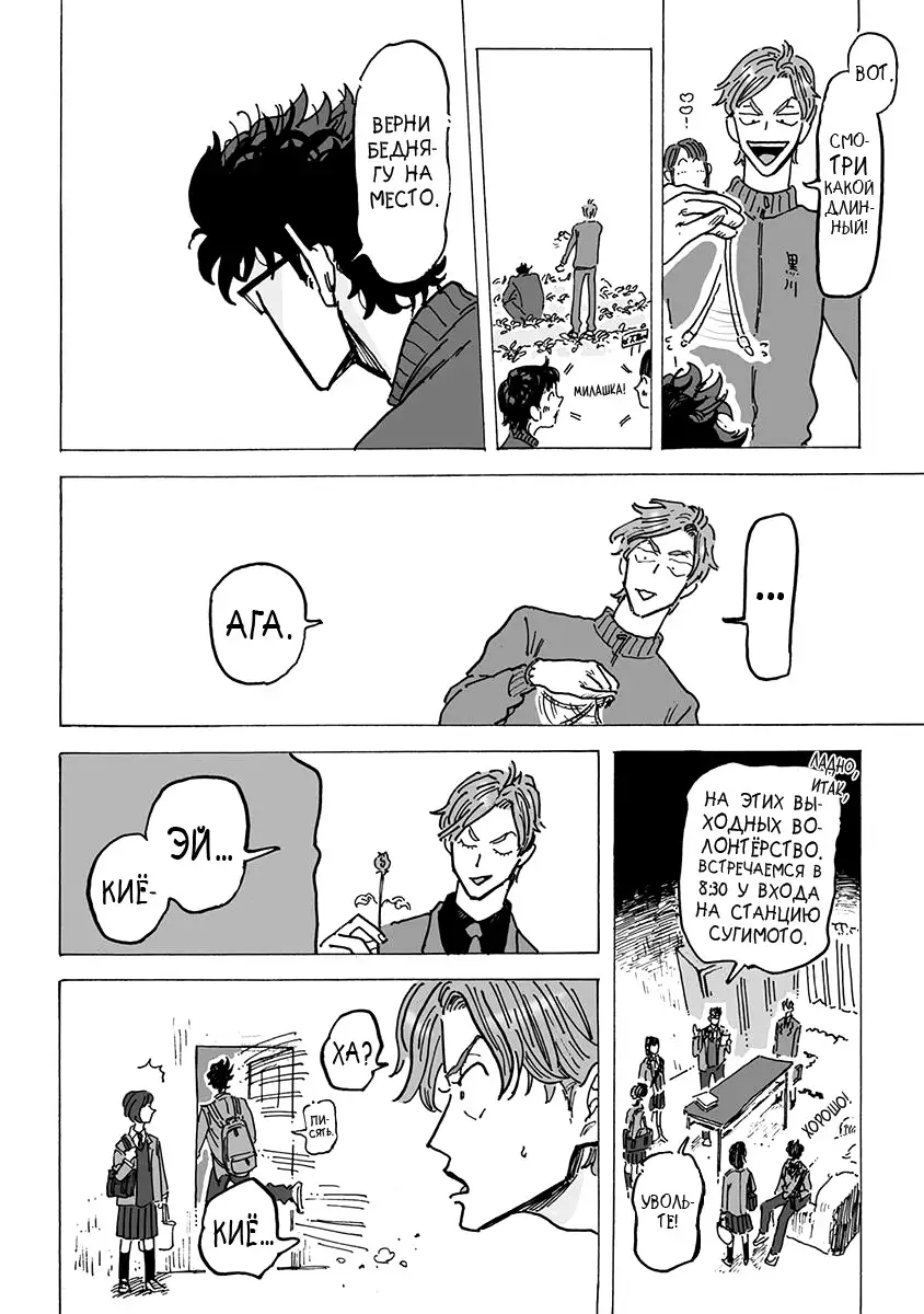 Ringo, Ki kara Ochiru