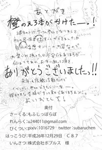 (C87) [Mofu Shippo Lab (Subaru.)] Koneko no Yomeiri (Touhou Project)