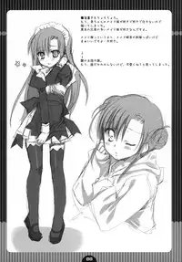 (COMIC1☆2) [Kokikko (Sesena Yau)] Koufuku Kansen Shou (Hayate no Gotoku!)