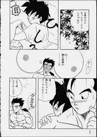 (C49) [Chirigami Goya / Fusuma Goten] Z (Dragonball)
