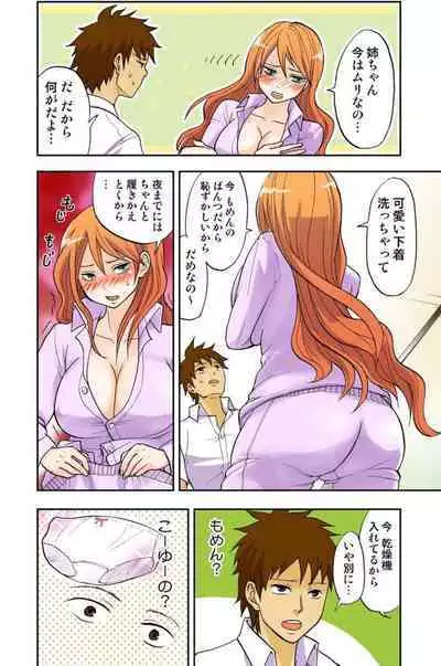 Onēchan ga wakan nai! 1