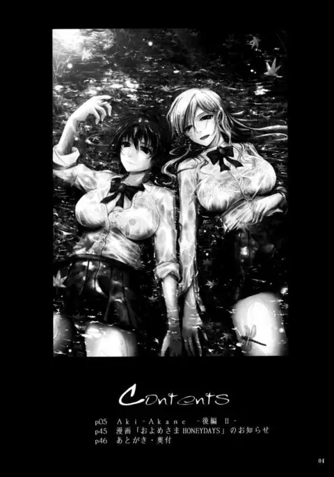 Aki-Akane -Sequel 2-