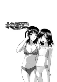 [Mutsuki Tsutomu] Koakuma Tenshi Momoirokei 3