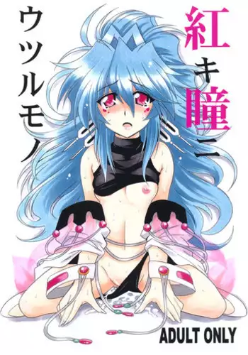 (COMIC1☆5) [Leaz Koubou (Oujano Kaze)] Akaki Hitomi ni Utsuru Mono (Super Robot Wars OG)