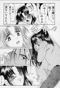 [Amayumi] sakura sakura