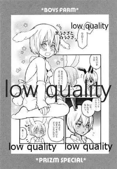 PRIZM SPECIAL REPRINT