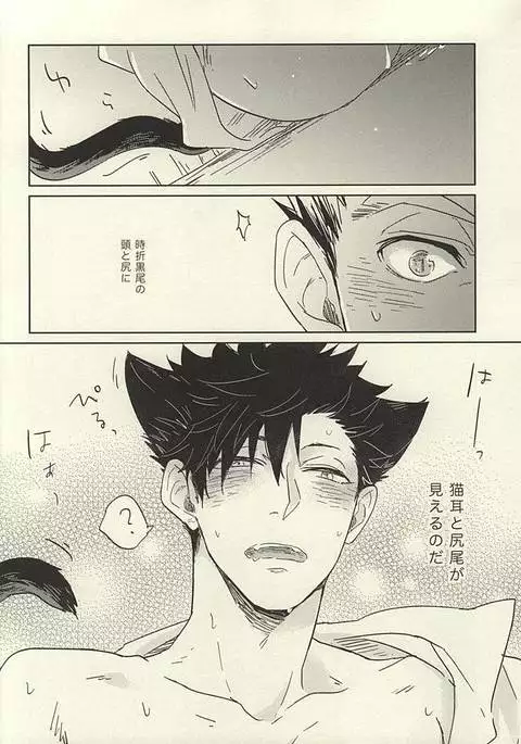 100-mankai Aisareta Kuroneko