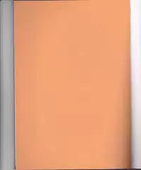 (C70) [PONCHEES (KARI) (Irohane Sui)] Rukia Kuchiki Minimum Maniax File (BLEACH)