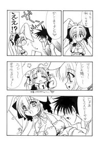 [PH-Bu] pretty Beam!