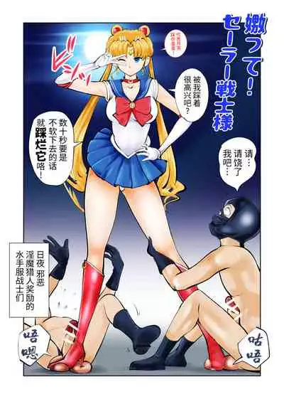 Nabutte! Sailor Senshi-sama