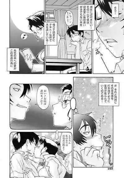 time of tropical night