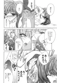 [Sid Alice] Epicurean Syndrome