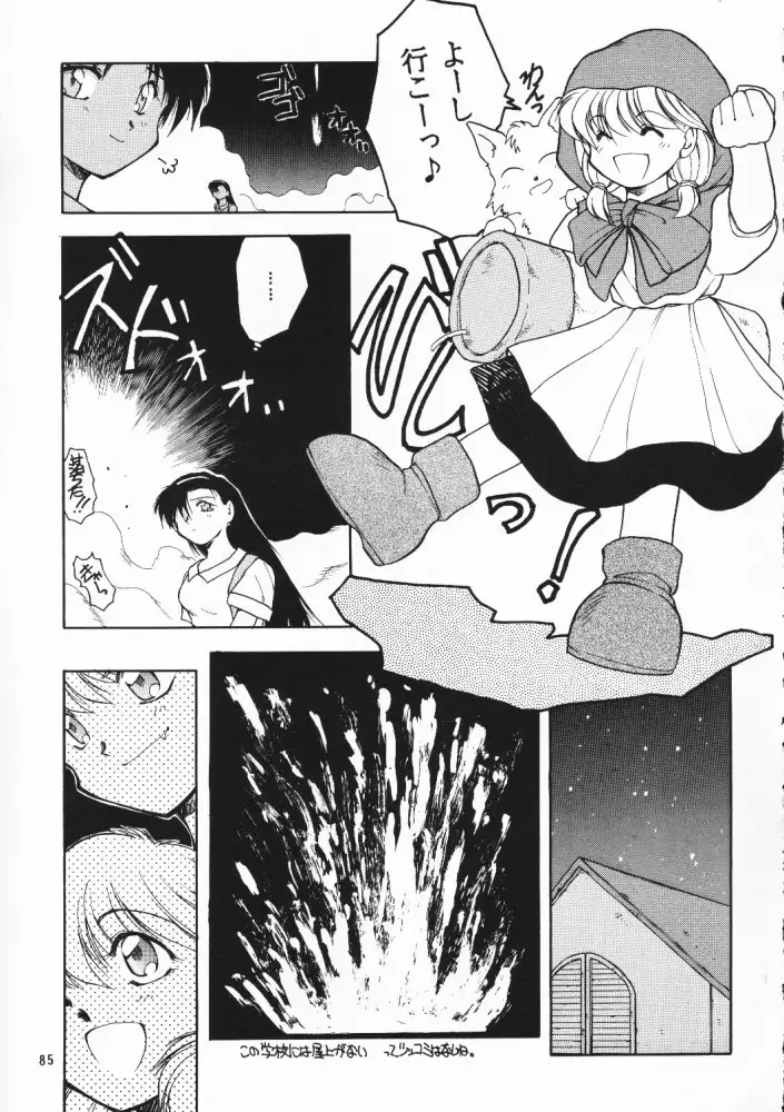 Chou Sairoku PINKISH COLLECTION