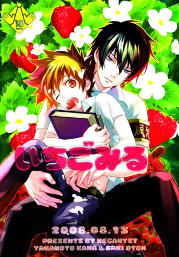 (C74) [Negahyst (Yamamoto Kana, Saki Otoh)] Ichigo Milk (Katekyoo Hitman REBORN!) [English] [Game Over or Continue] [Incomplete]