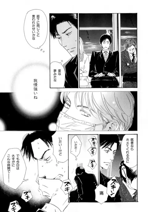 b-BOY Phoenix Vol.11 Shiroisha Tokushuu