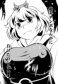 (C78) [Sekitan Bukuro (Fey Tas)] Saint Tiger (Touhou Project)