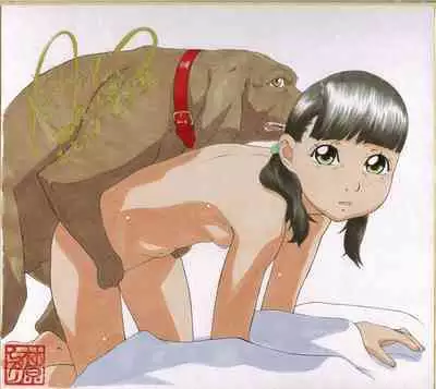 Shikishi Zukan 9