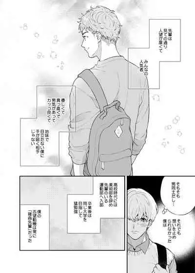 Sukide sukide shōganai mitai.