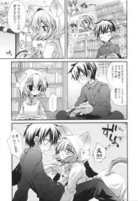 [Kumakou] CARAMEL BOX