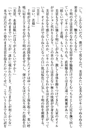 年上メイドの新婚日記