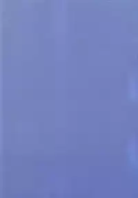 (SC34) [OTOMEKIBUN (Sansyoku Amido.)] Katamimi Usagi (BLEACH)