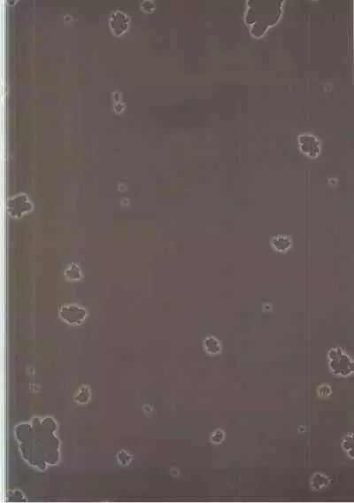 Kimi ga Tame Haruyoi Matoishi Sakura-hime