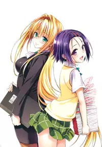 [Yabuki Kentaro] To Love-Ru -Trouble- Darkness Artbook Harem Gold