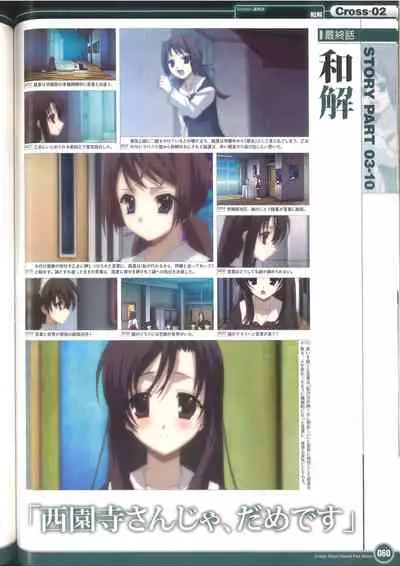 Cross Days Visual Fan Book