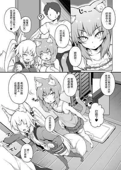 Mesugaki-chan o Motto Wakarasetai!