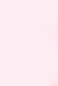 (CT19) [Wancho-ke (Wancho)] Wancho-ke Note CT19 (Various)