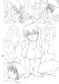 (C73) [Ikibata 49ers (Nishiki Yoshimune)] Zero Sen (Zero No Tsukaima)