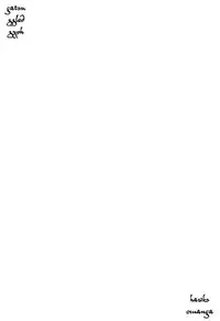 [Matsumoto Jiro] Tropical Citron 1