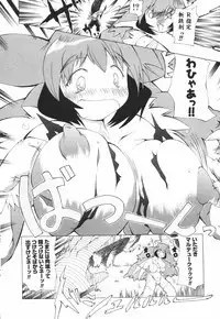 [Combat Echizen] Oneechan Bousou Tokkyuu!