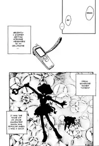 [Suehirogari] CITRON [English]