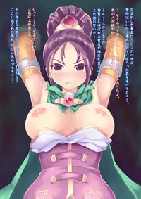 [Muriyari Egao (Mokichi, xxx)] Sugisarishi Toki no Shoujo-tachi Tettei Kousoku Kusuguri Jigoku (Dragon Quest XI)