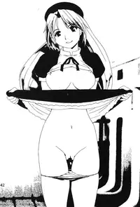 [Trochilidae] fighting queen 3 [Chiense]