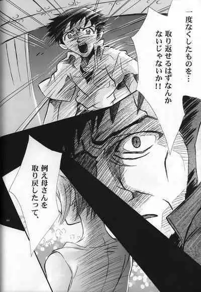 <Shinyaku> neon genesis document G