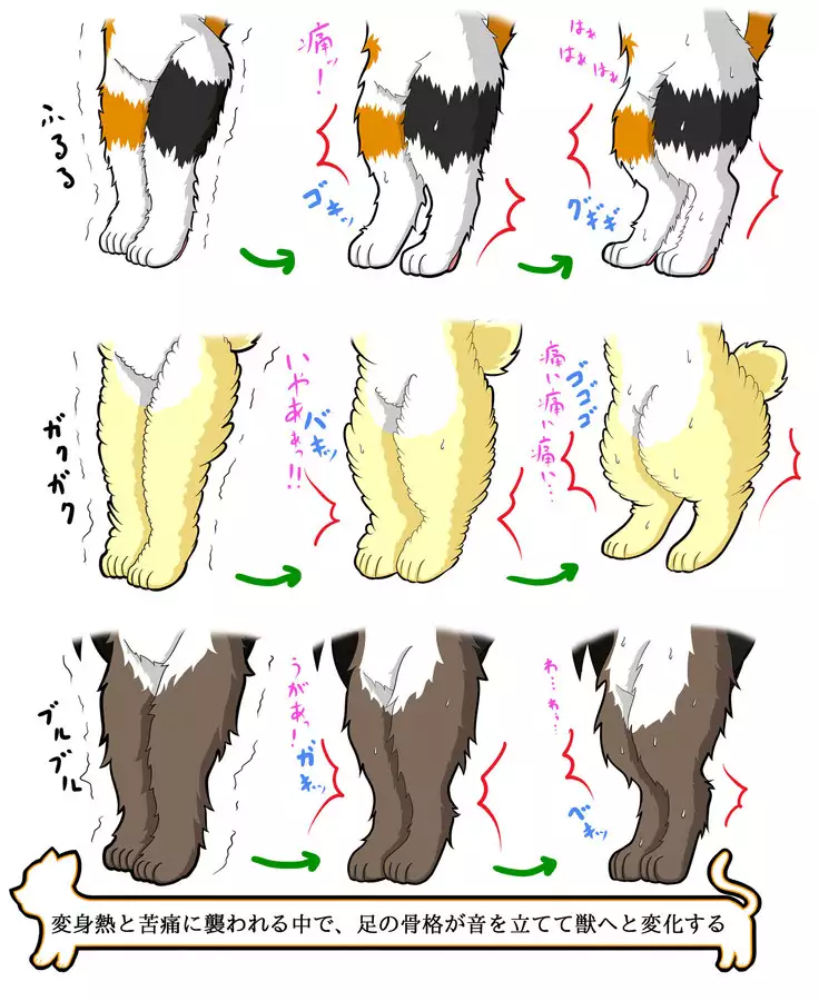 Kemo tan 1＠J-Chimera