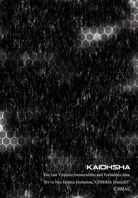 Cyberia Maniacs Roshutsu Chuudoku Maniax Vol.2