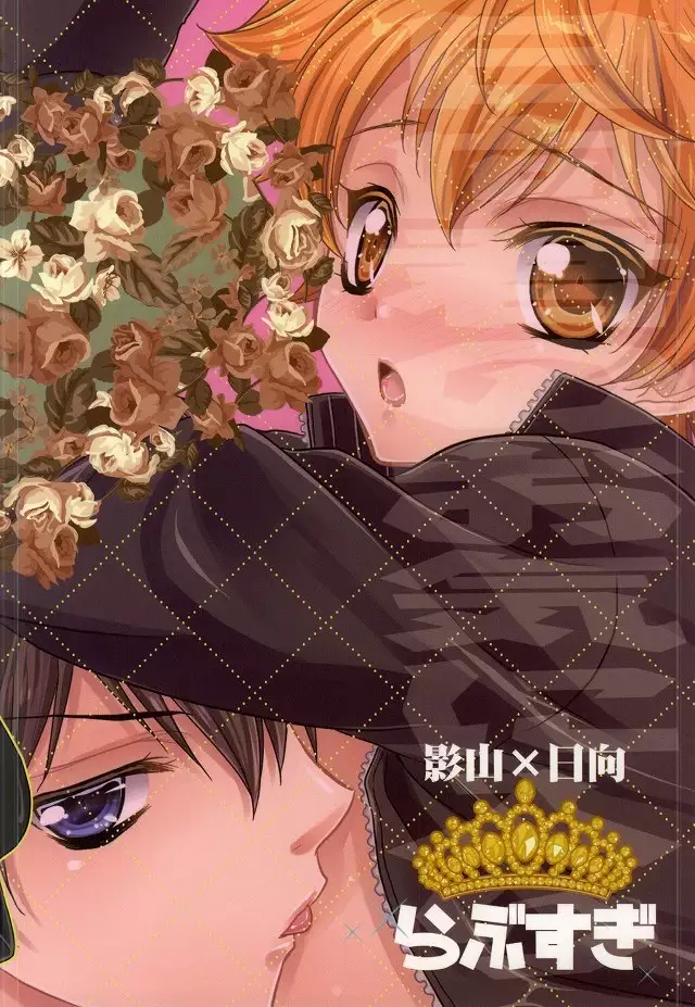 Hinata-kun no Okiniiri