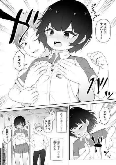 Shoujo Ryoujoku Manual