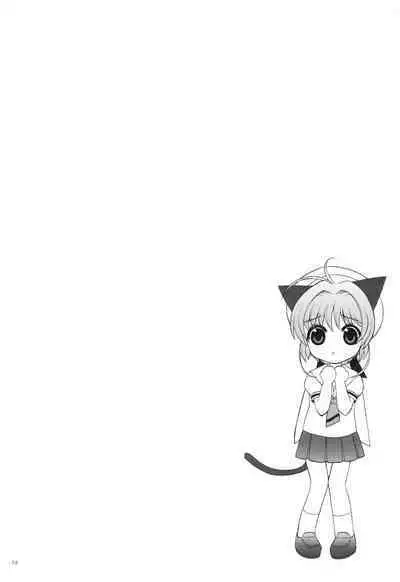 Punipoyon summary version