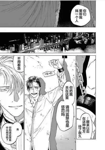 TOKYO Hikari Auction｜东京光之拍卖会