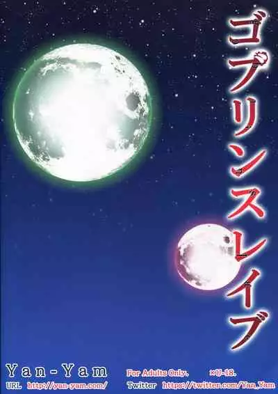 (C95) [Yan-Yam] Goblin Slave | 哥布林奴隶 (Goblin Slayer) [Chinese] [真不可视汉化]