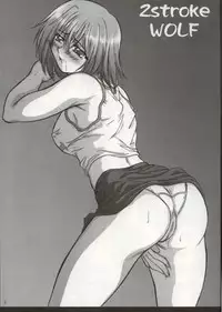 (SC15) [2Stroke (YTS Takana)] 2STROKE WOLF (Groove Adventure Rave)